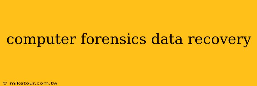 computer forensics data recovery