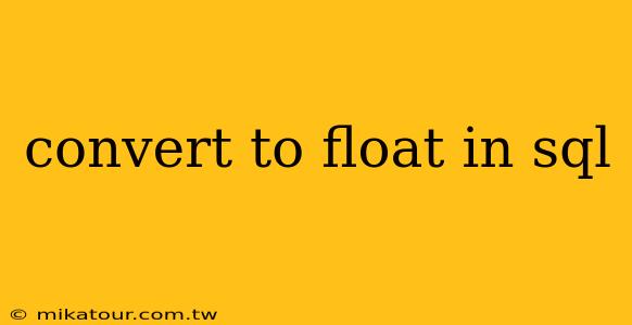 convert to float in sql