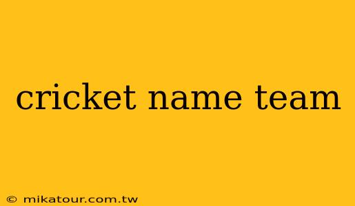 cricket name team