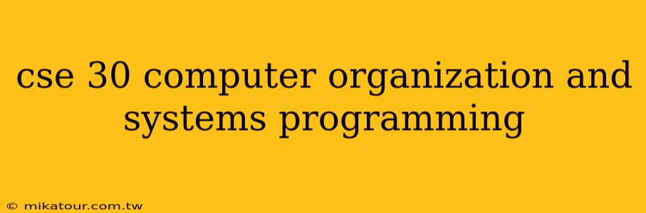 cse 30 computer organization and systems programming