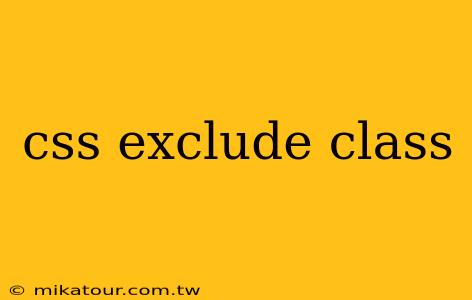 css exclude class