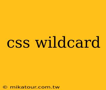 css wildcard