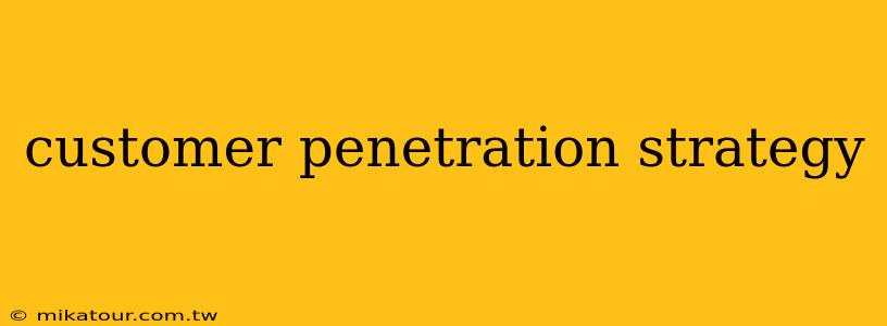 customer penetration strategy