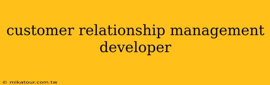 customer relationship management developer