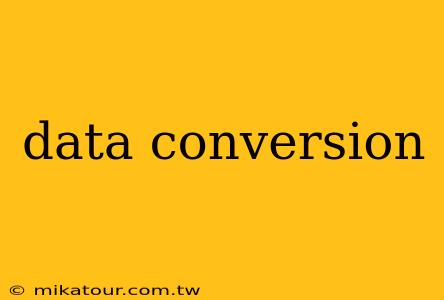 data conversion