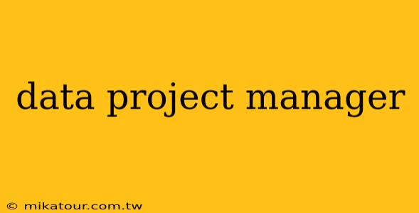 data project manager