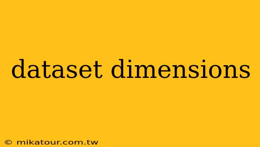 dataset dimensions