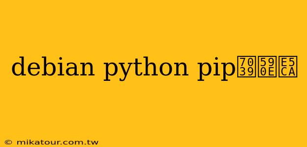 debian python pip瀹夎