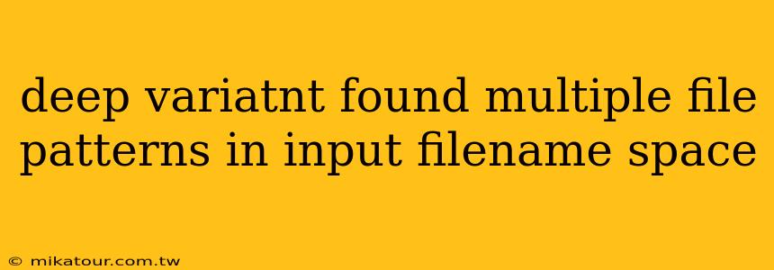 deep variatnt found multiple file patterns in input filename space