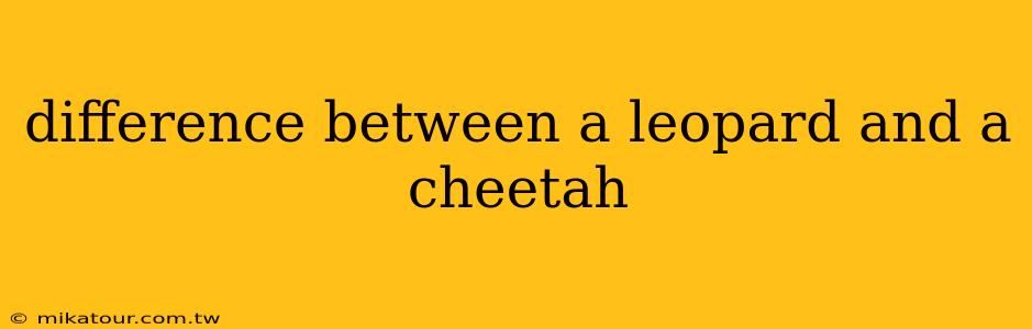 difference between a leopard and a cheetah