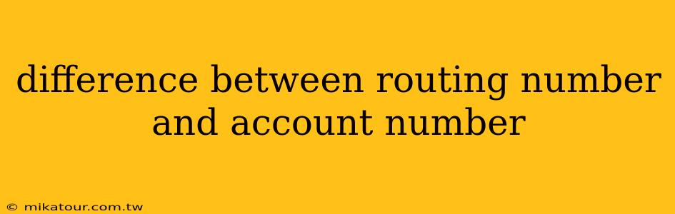 difference between routing number and account number