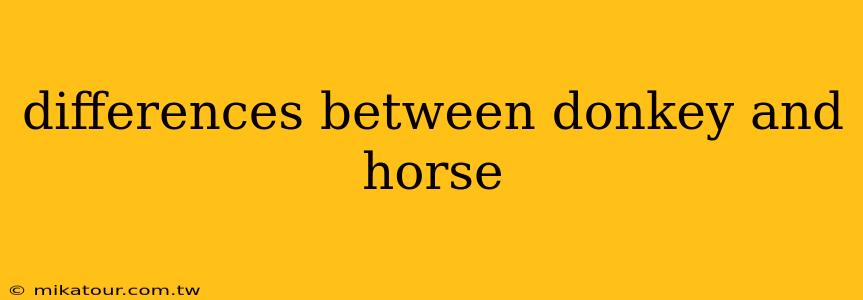 differences between donkey and horse