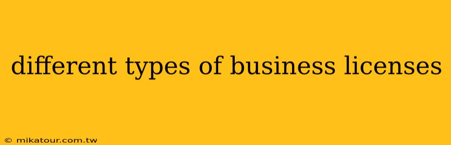 different types of business licenses