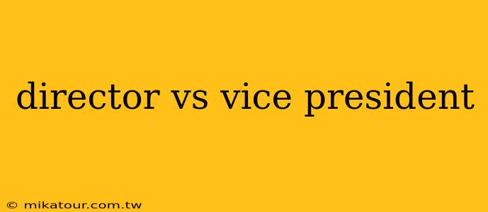 director vs vice president