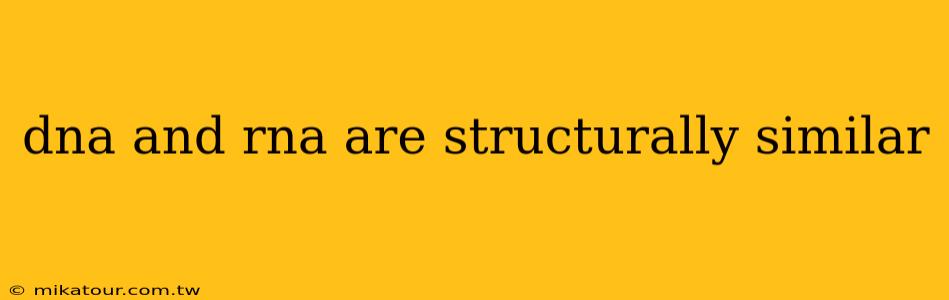 dna and rna are structurally similar