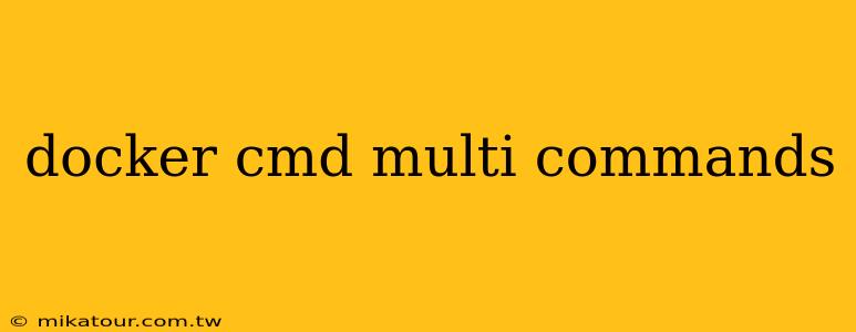 docker cmd multi commands