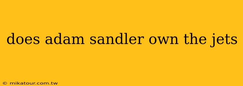 does adam sandler own the jets