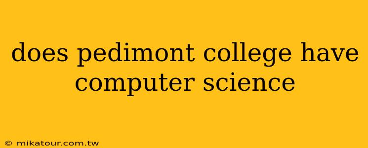 does pedimont college have computer science