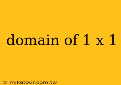 domain of 1 x 1