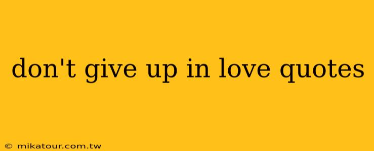 don't give up in love quotes