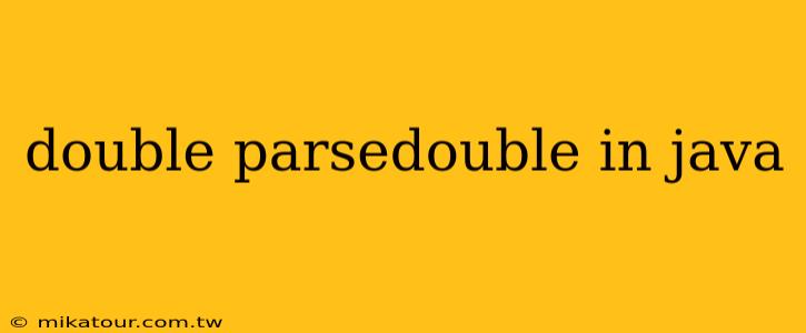 double parsedouble in java