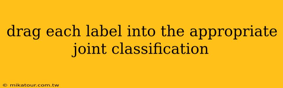 drag each label into the appropriate joint classification