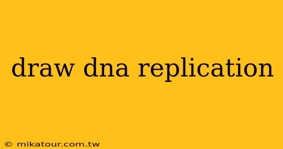 draw dna replication