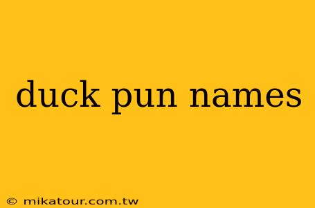 duck pun names