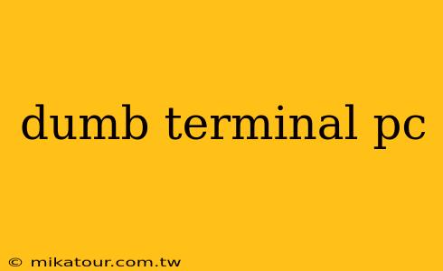 dumb terminal pc