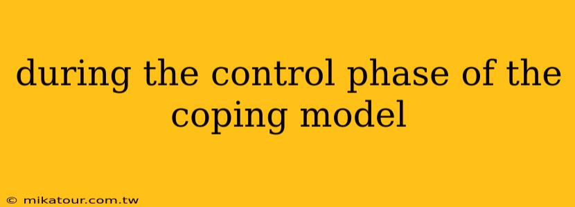 during the control phase of the coping model