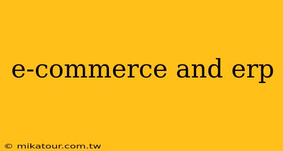 e-commerce and erp