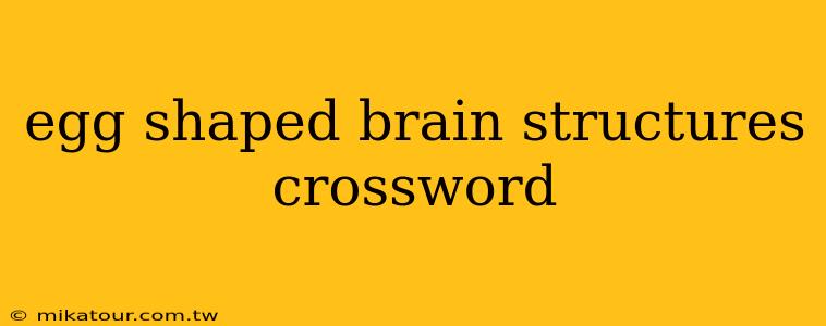 egg shaped brain structures crossword