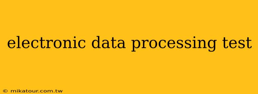 electronic data processing test