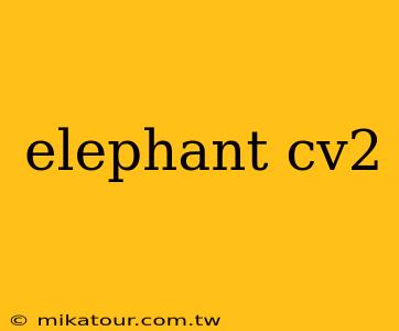 elephant cv2