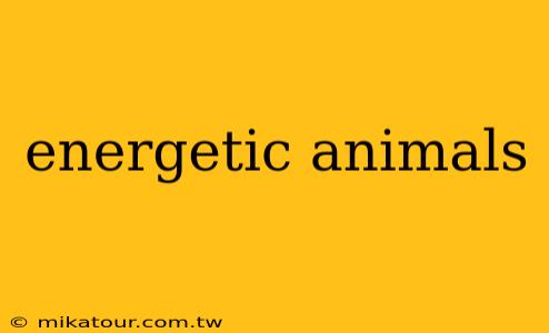 energetic animals