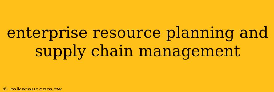 enterprise resource planning and supply chain management