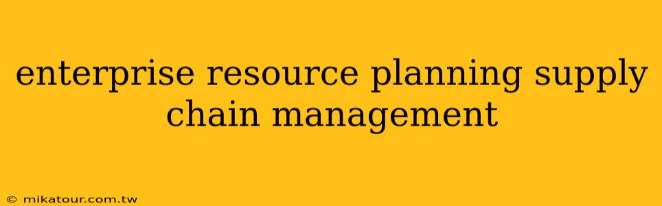 enterprise resource planning supply chain management