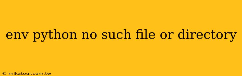 env python no such file or directory