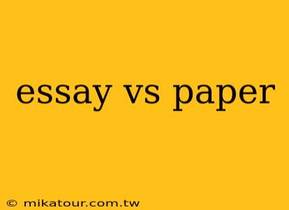 essay vs paper