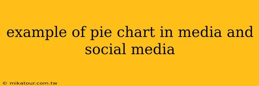 example of pie chart in media and social media