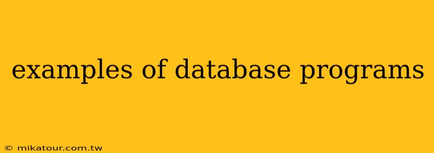 examples of database programs