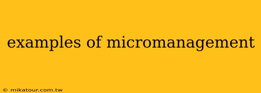 examples of micromanagement