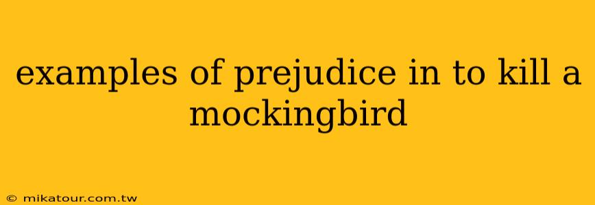 examples of prejudice in to kill a mockingbird