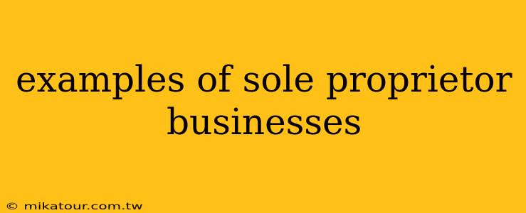 examples of sole proprietor businesses