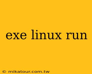 exe linux run