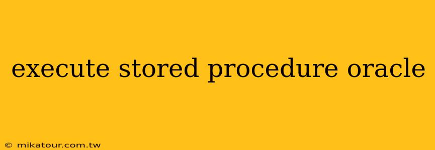 execute stored procedure oracle