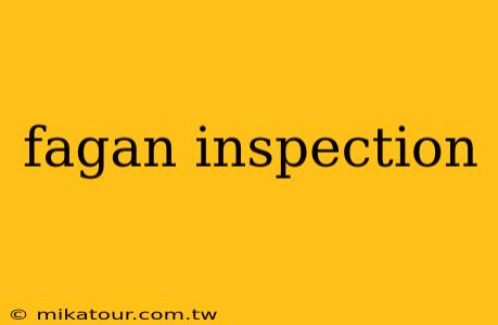 fagan inspection