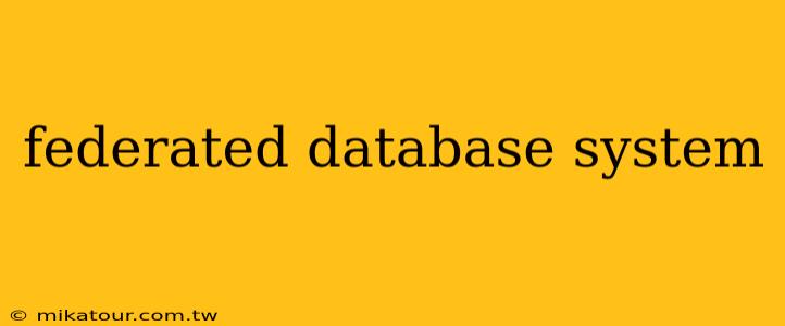 federated database system