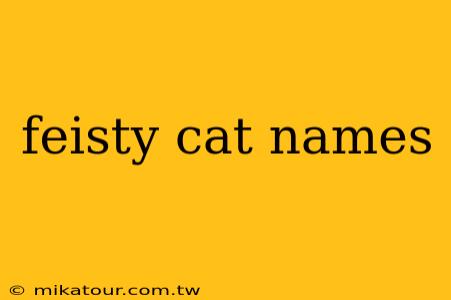 feisty cat names