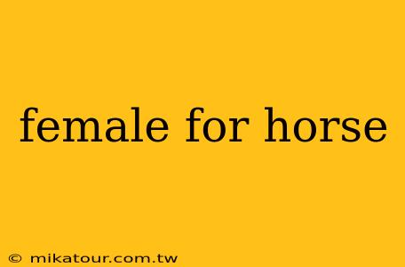 female for horse